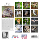 Owls Wall Calendar 2026