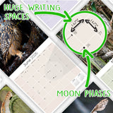 Owls Wall Calendar 2026