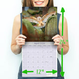 Owls Wall Calendar 2026