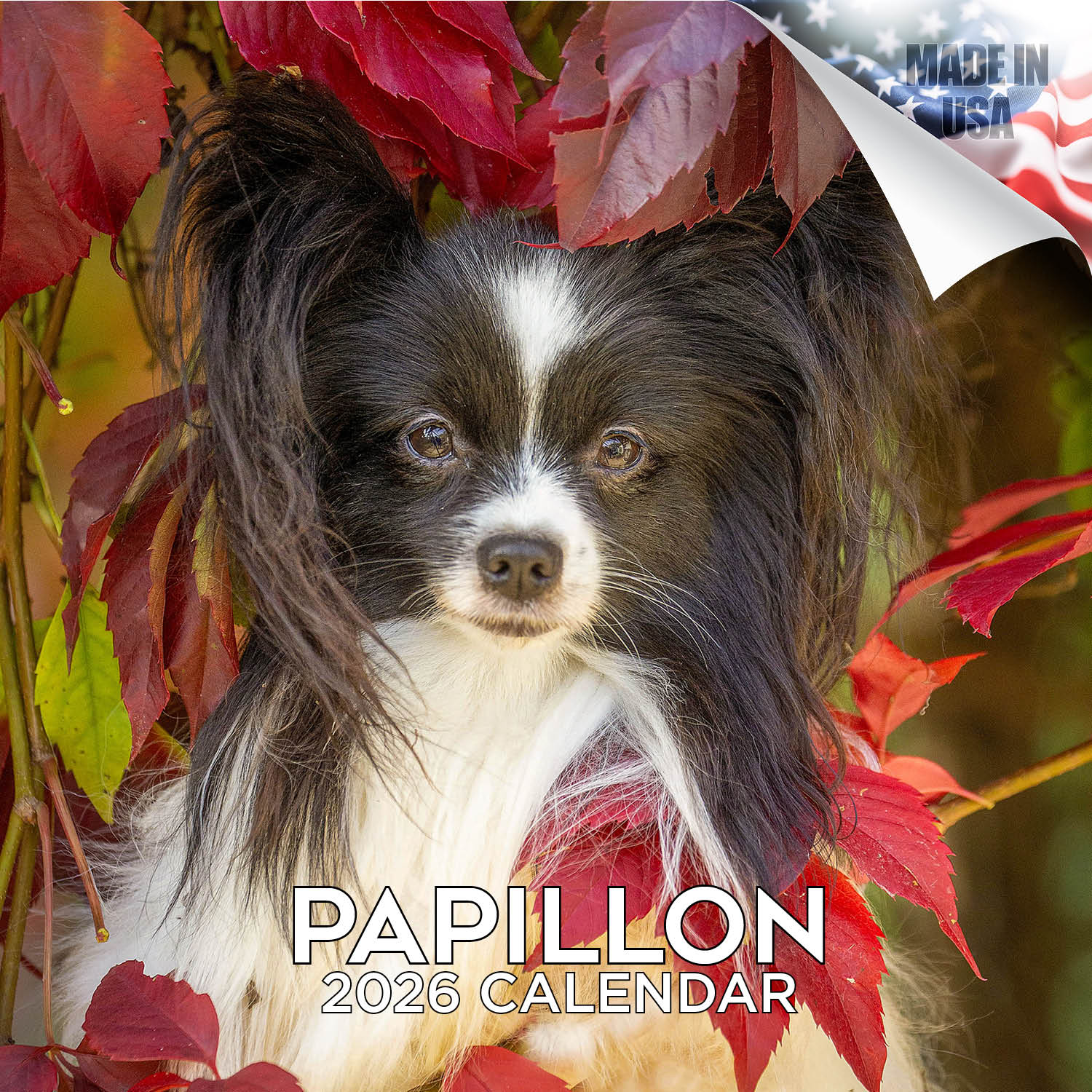 Papillon Wall Calendar 2026