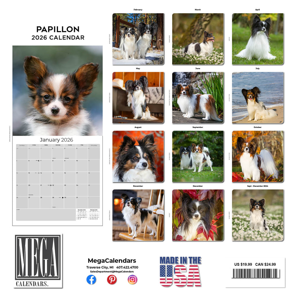 Papillon Wall Calendar 2026