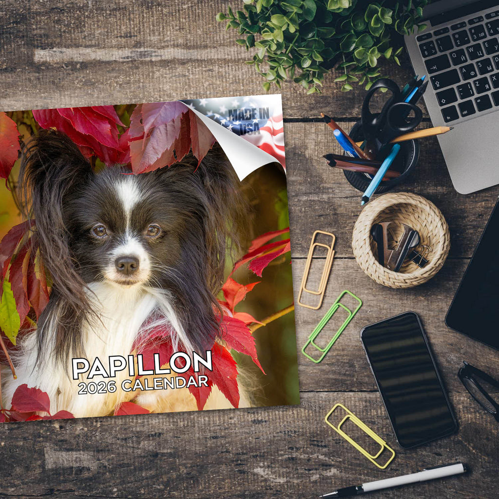 Papillon Wall Calendar 2026