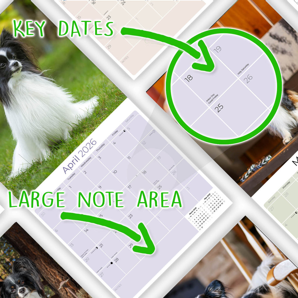 Papillon Wall Calendar 2026