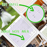 Papillon Wall Calendar 2026