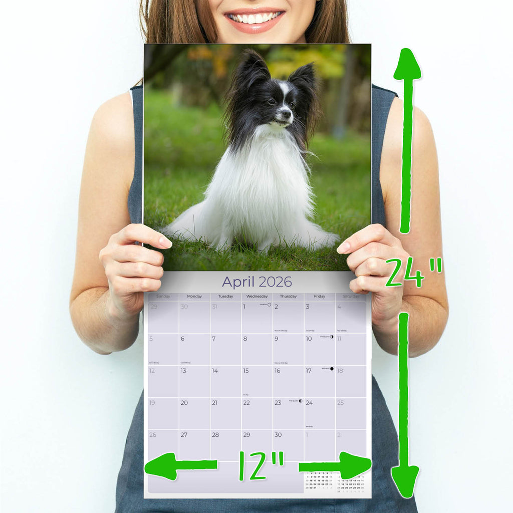 Papillon Wall Calendar 2026