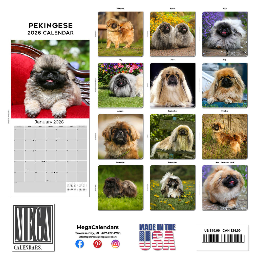 Pekingese Wall Calendar 2026