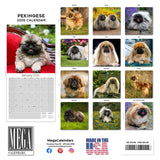 Pekingese Wall Calendar 2026