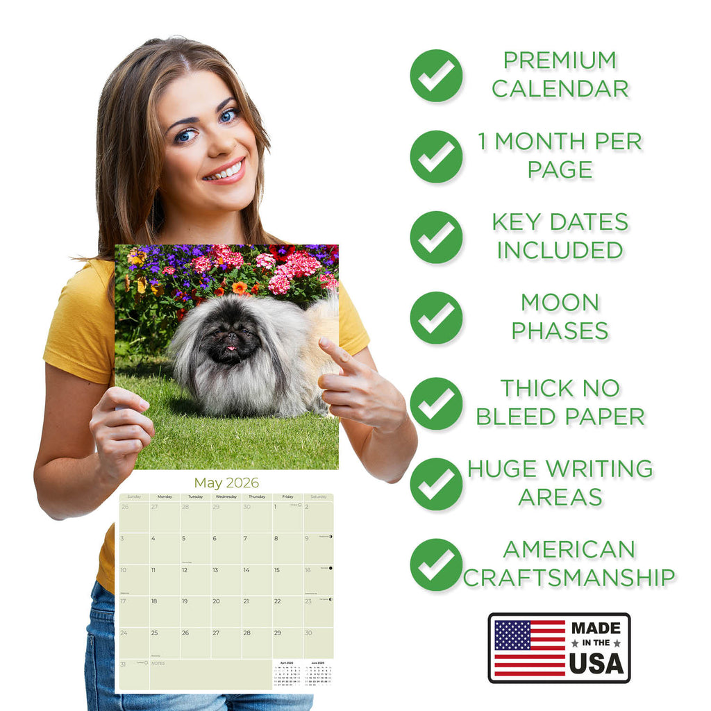 Pekingese Wall Calendar 2026