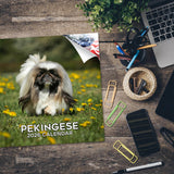 Pekingese Wall Calendar 2026
