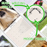 Pekingese Wall Calendar 2026