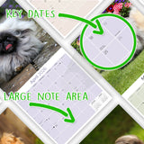Pekingese Wall Calendar 2026