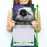 Pekingese Wall Calendar 2026