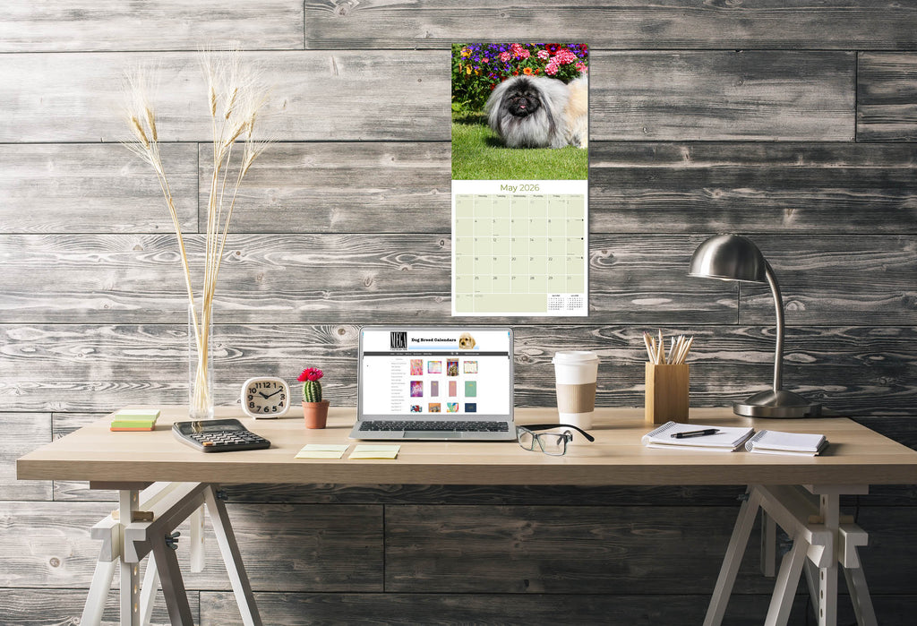 Pekingese Wall Calendar 2026