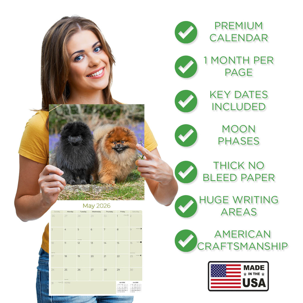 Pomeranian Wall Calendar 2026