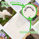 Pomeranian Wall Calendar 2026