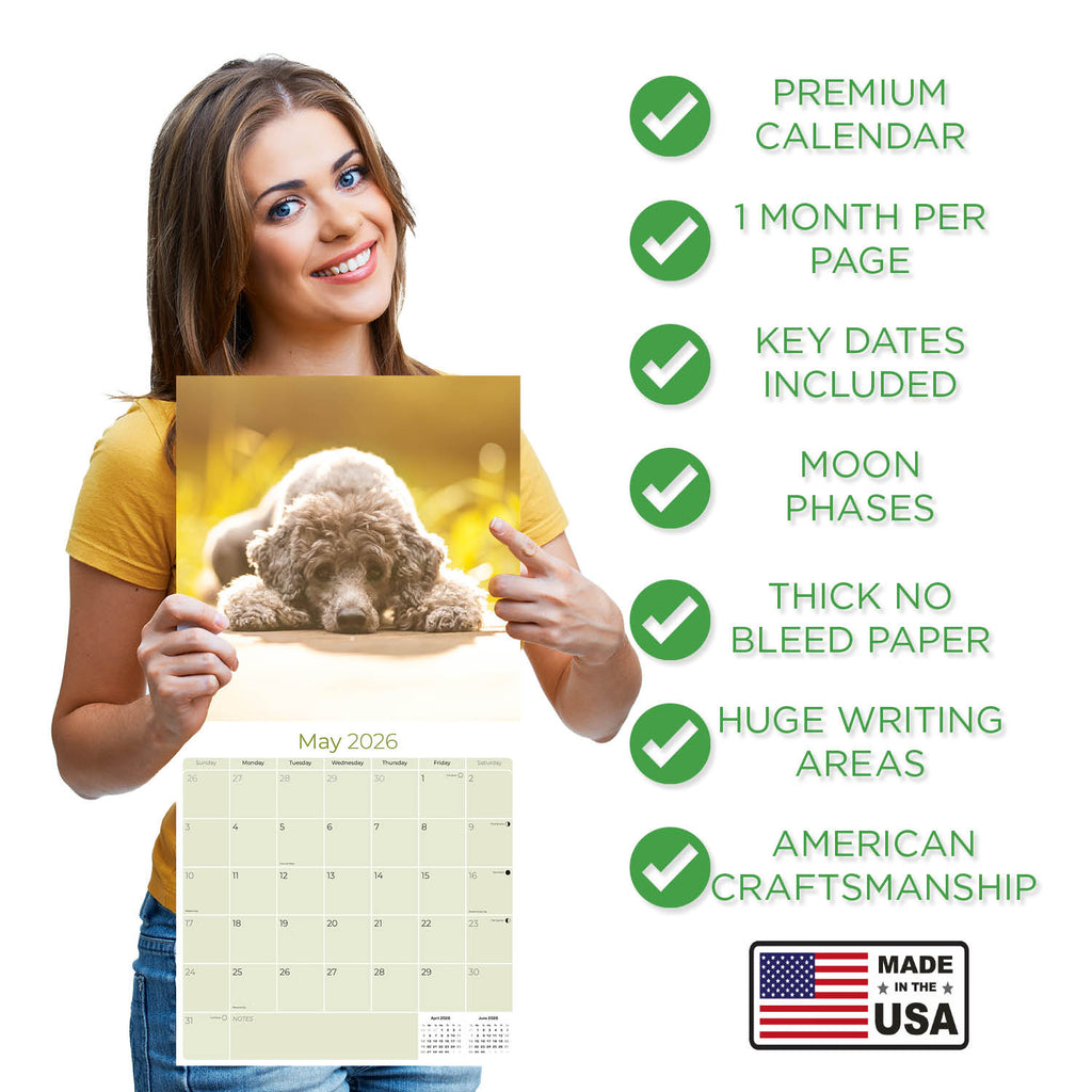 Poodle Wall Calendar 2026
