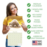 Poodle Wall Calendar 2026