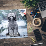 Poodle Wall Calendar 2026