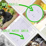 Poodle Wall Calendar 2026