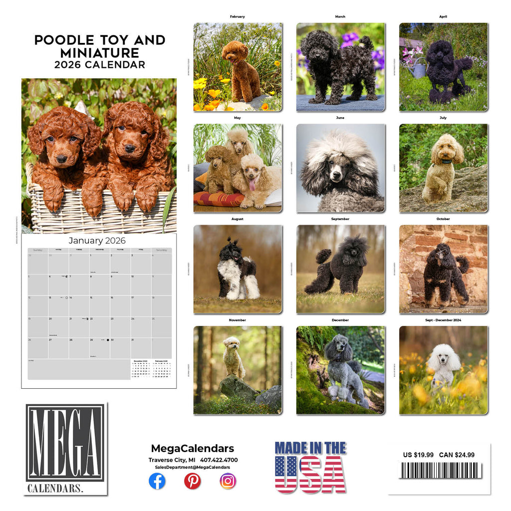 Poodle (Toy & Miniature) Wall Calendar 2026