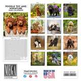 Poodle (Toy & Miniature) Wall Calendar 2026