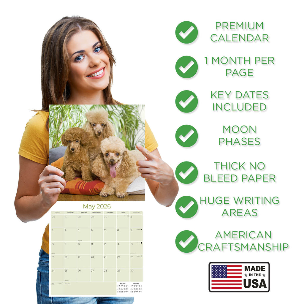 Poodle (Toy & Miniature) Wall Calendar 2026
