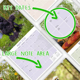 Poodle (Toy & Miniature) Wall Calendar 2026