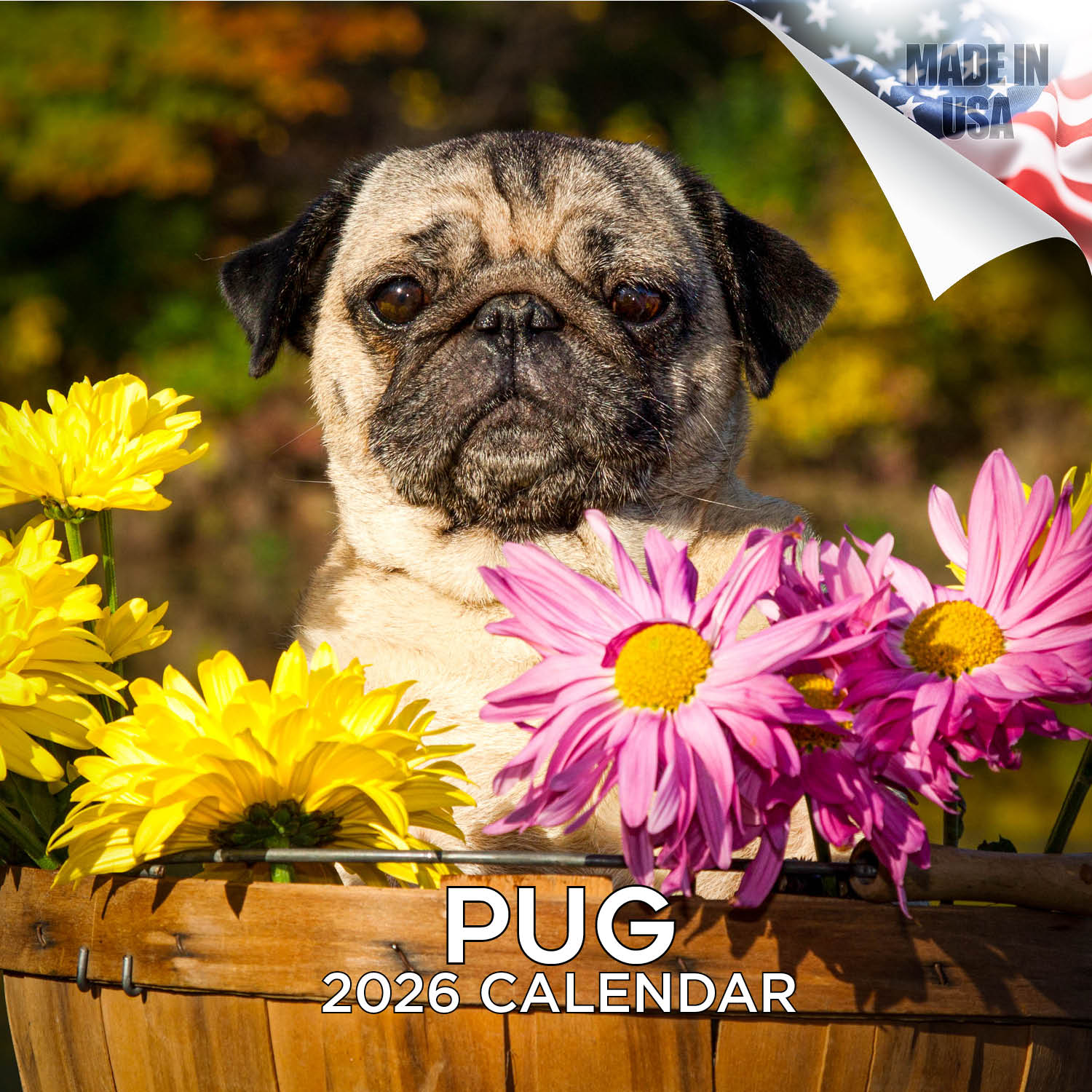 Pug Wall Calendar 2026