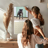 Pug Wall Calendar 2026