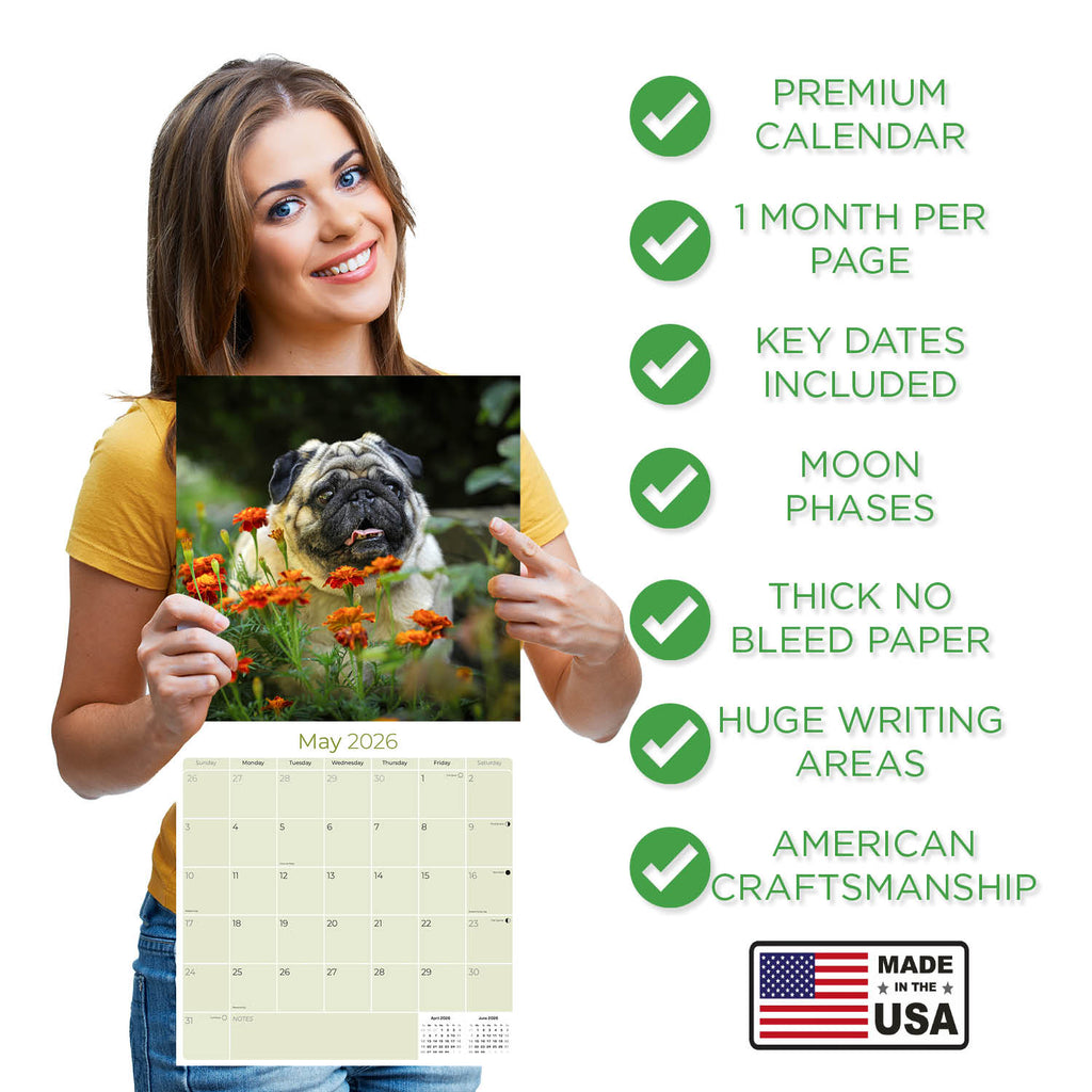 Pug Wall Calendar 2026