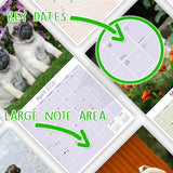 Pug Wall Calendar 2026