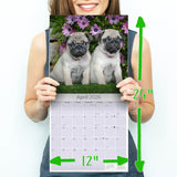 Pug Wall Calendar 2026