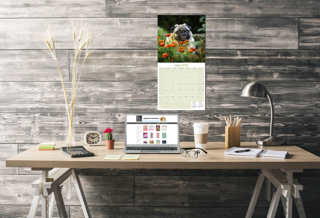 Pug Wall Calendar 2026