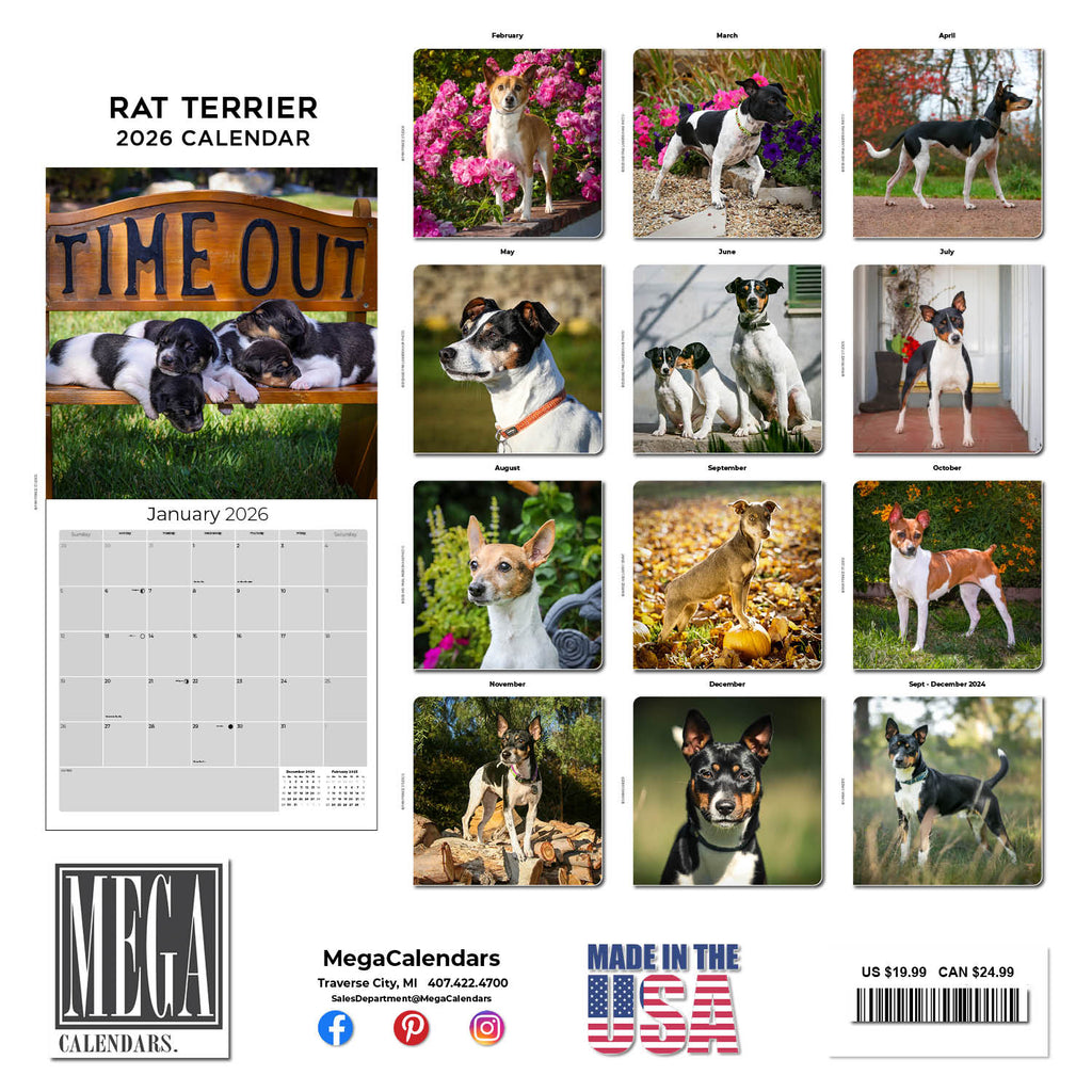 Rat Terrier Wall Calendar 2026