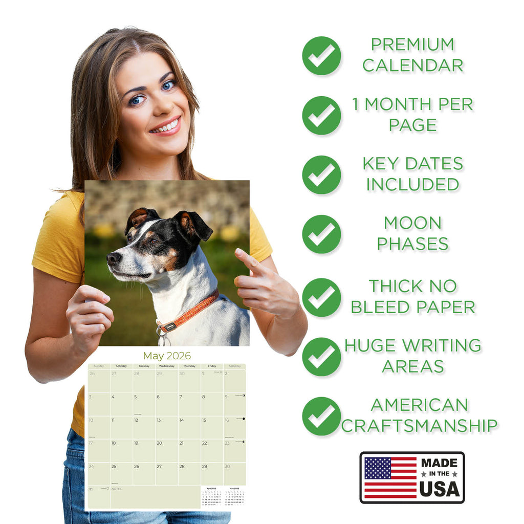 Rat Terrier Wall Calendar 2026