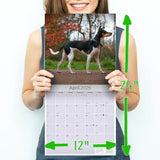 Rat Terrier Wall Calendar 2026