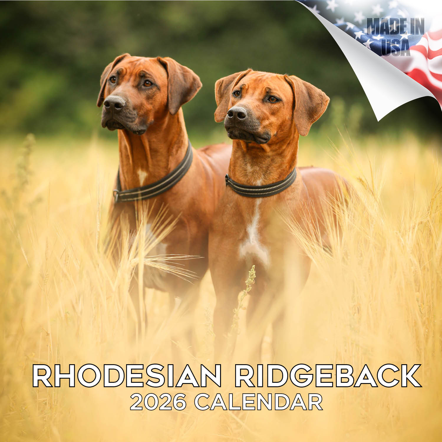 Rhodesian Ridgeback Wall Calendar 2026