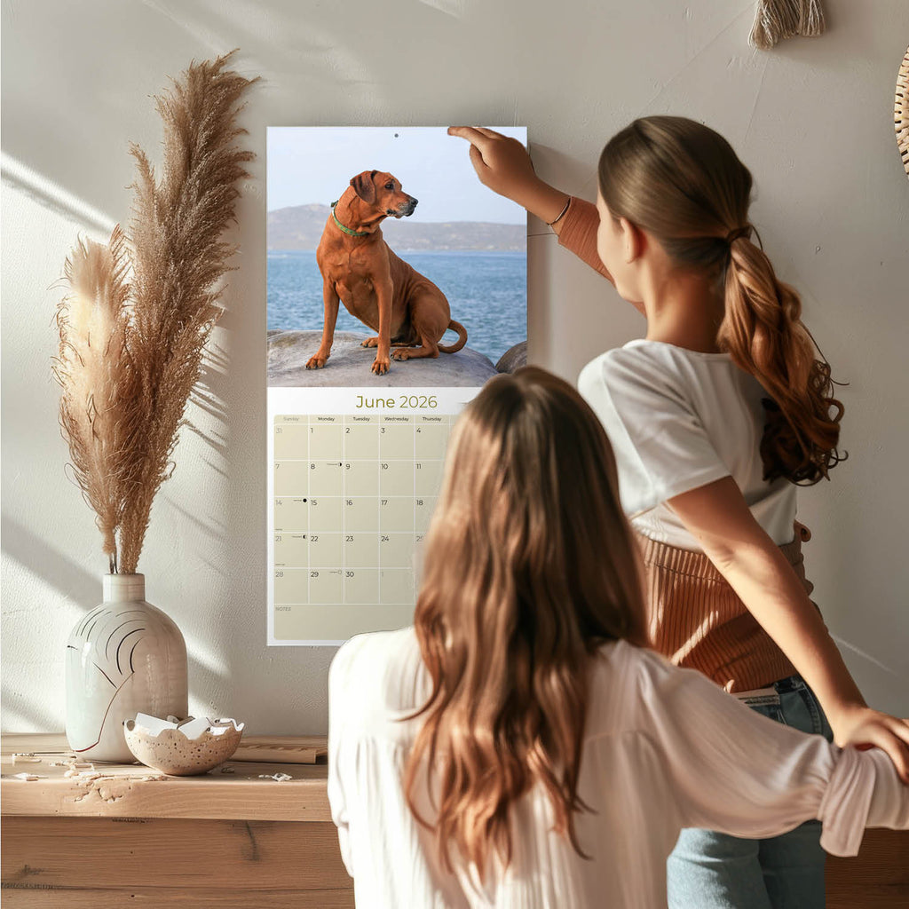 Rhodesian Ridgeback Wall Calendar 2026