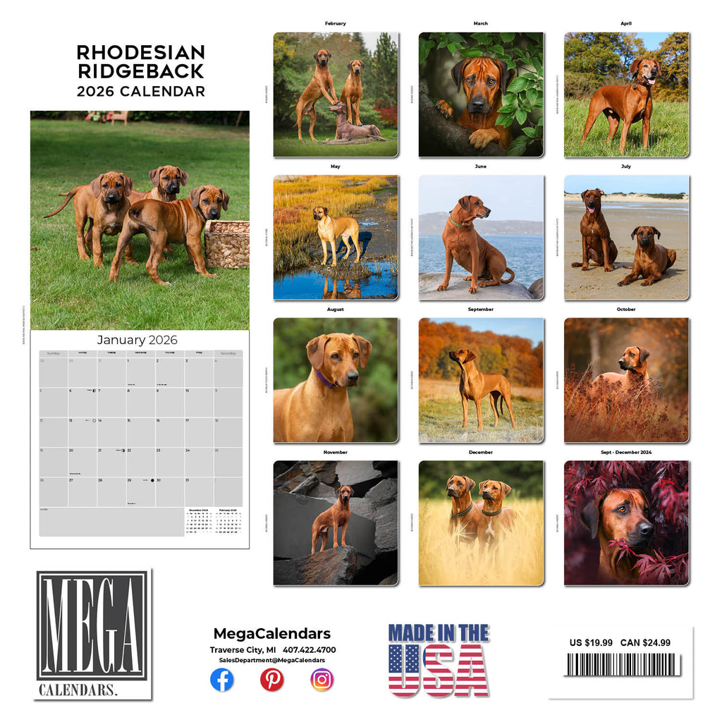 Rhodesian Ridgeback Wall Calendar 2026