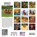 Rhodesian Ridgeback Wall Calendar 2026