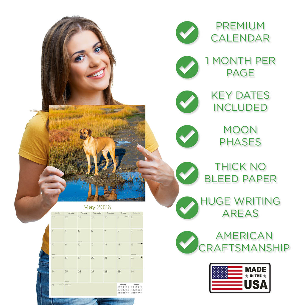 Rhodesian Ridgeback Wall Calendar 2026