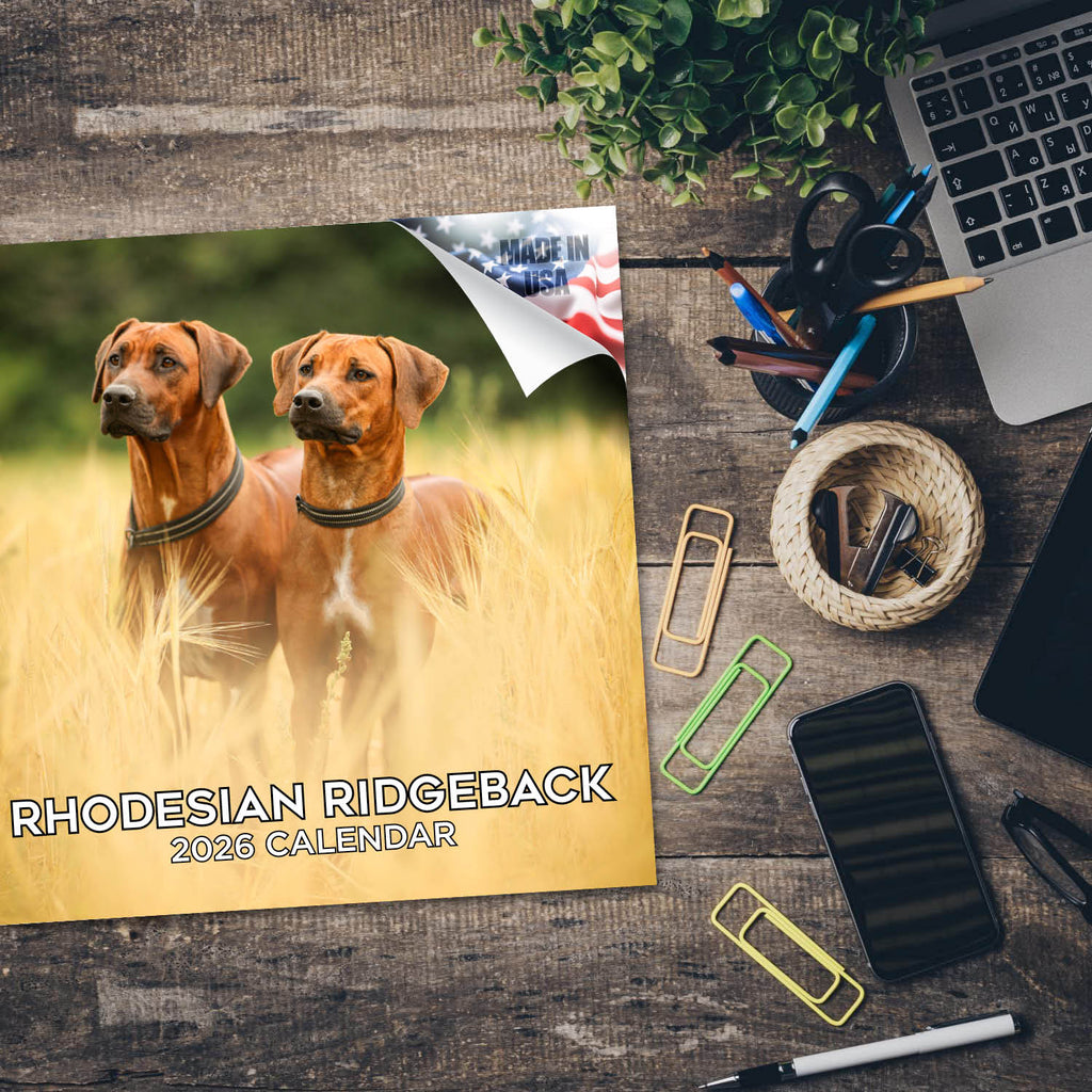 Rhodesian Ridgeback Wall Calendar 2026