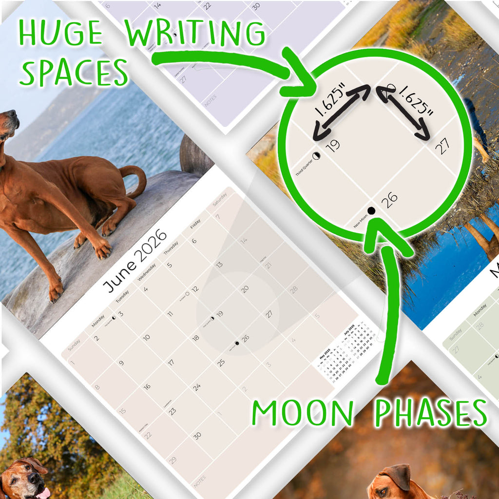 Rhodesian Ridgeback Wall Calendar 2026