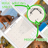 Rhodesian Ridgeback Wall Calendar 2026