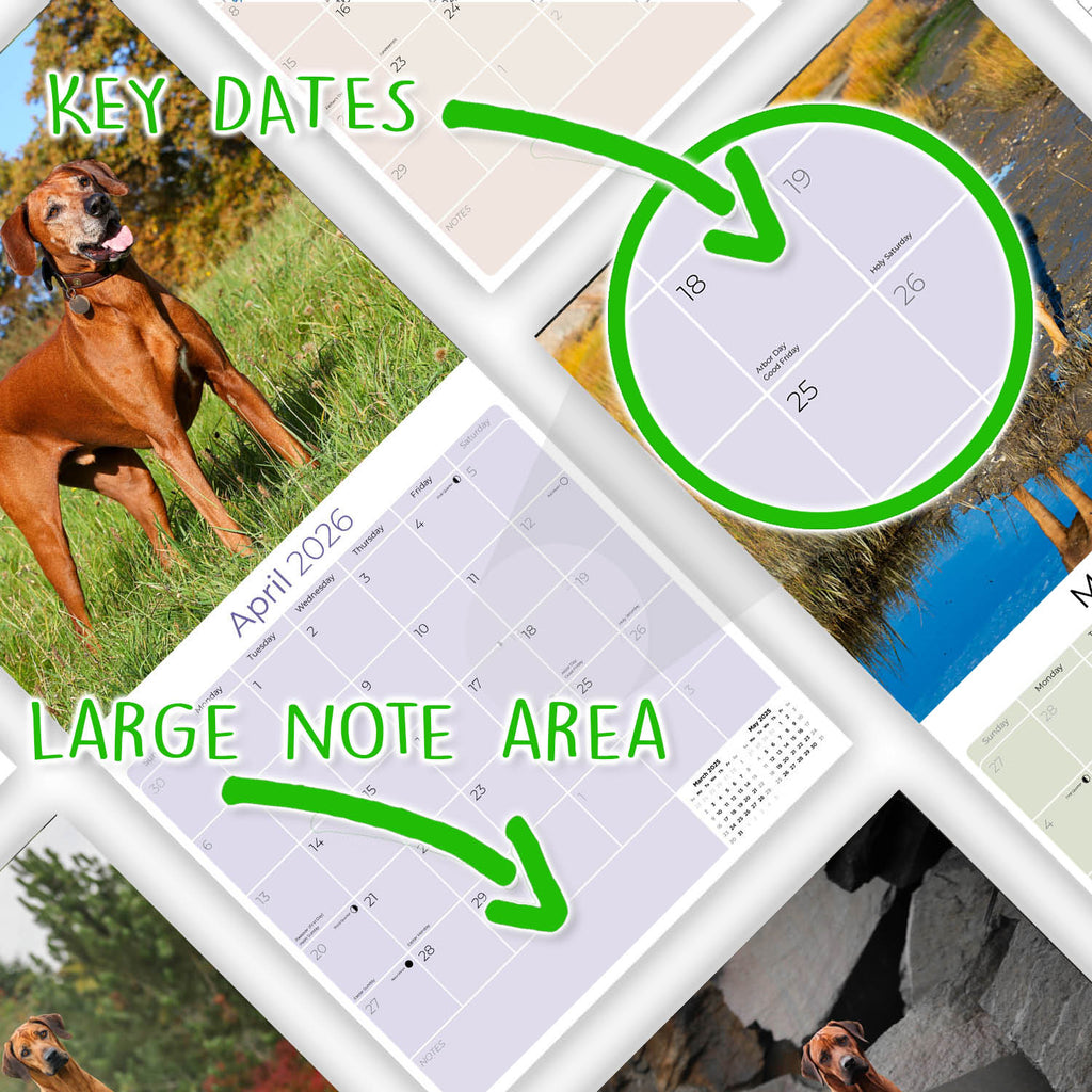 Rhodesian Ridgeback Wall Calendar 2026