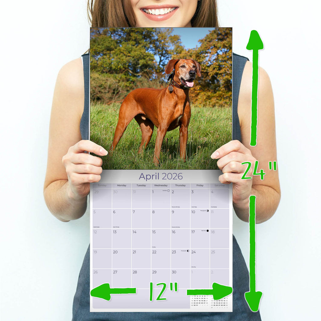 Rhodesian Ridgeback Wall Calendar 2026