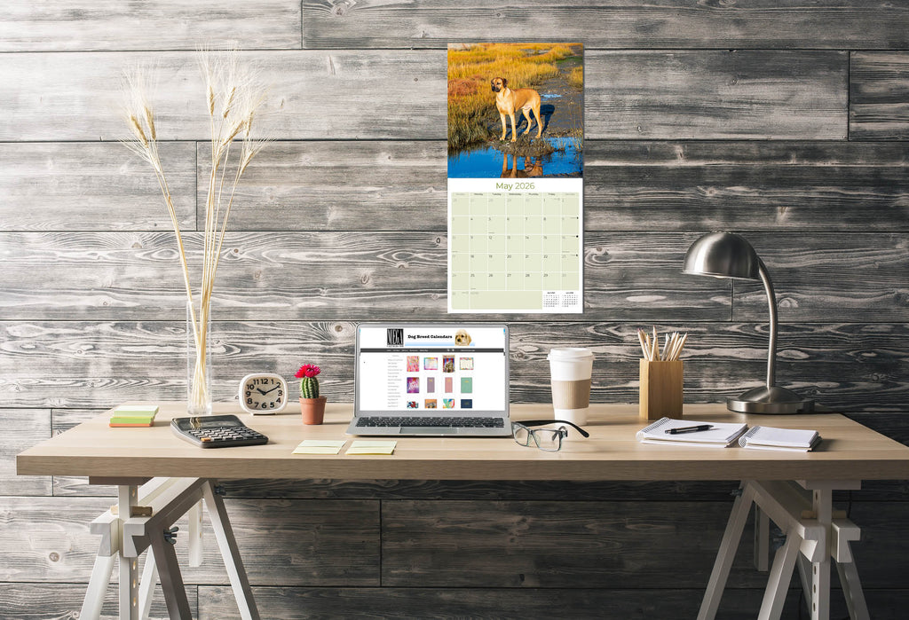 Rhodesian Ridgeback Wall Calendar 2026