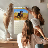 Rottweiler Wall Calendar 2026