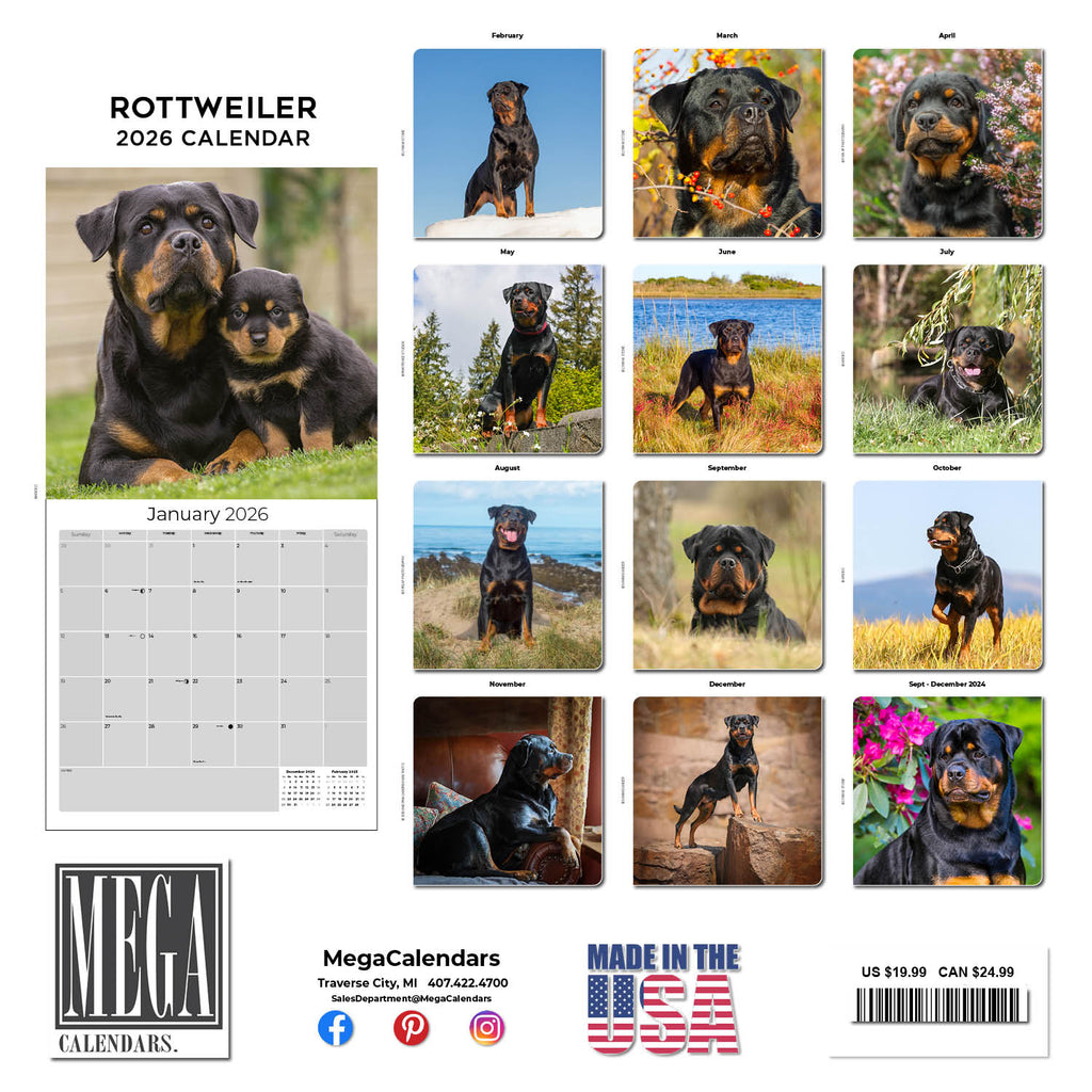 Rottweiler Wall Calendar 2026