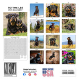 Rottweiler Wall Calendar 2026